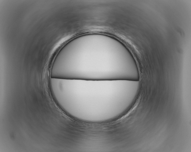 X0000113161317200909040944