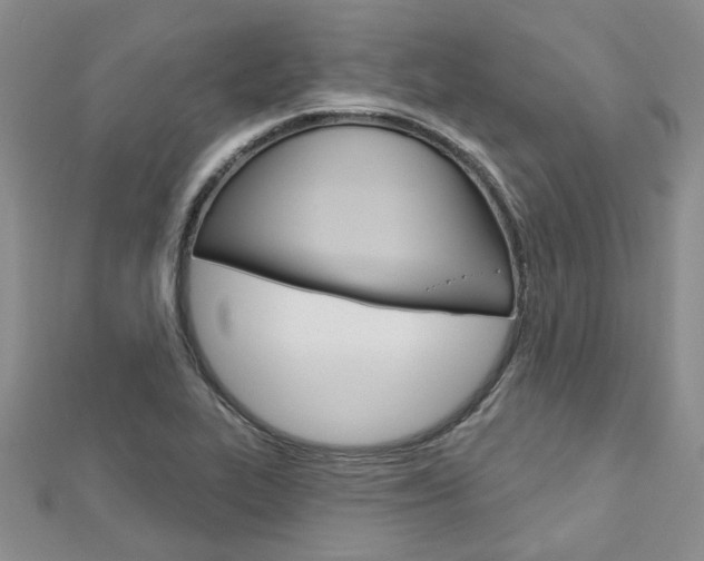 X0000113161319200909040944