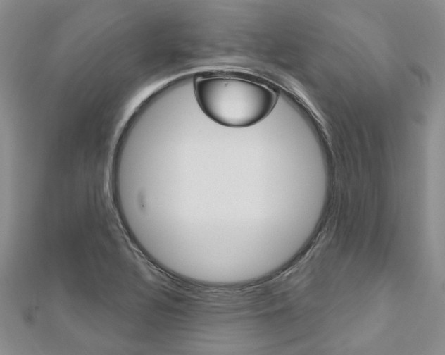 X0000113161320200909040944