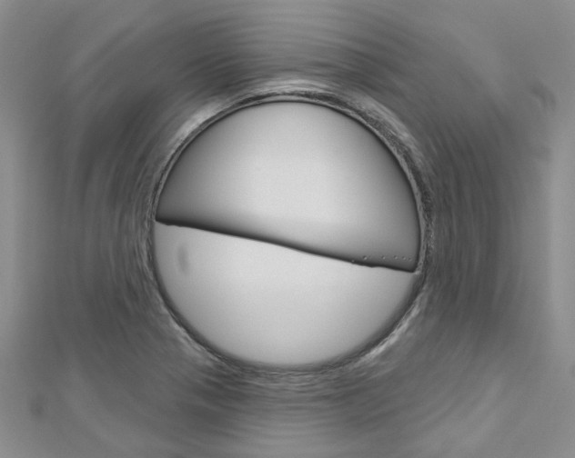 X0000113161321200909040944