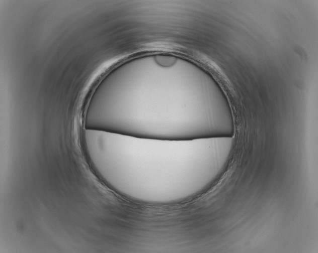 X0000113161323200909040944