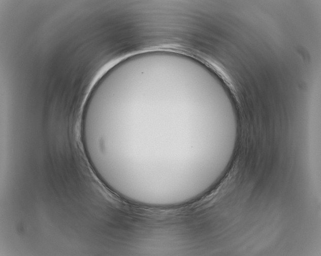 X0000113161324200909040944