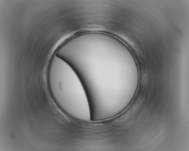 X0000113161325200909040944