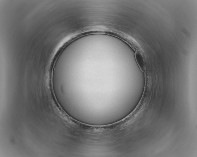 X0000113161326200909040944