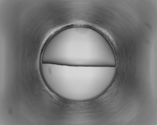 X0000113161327200909040945