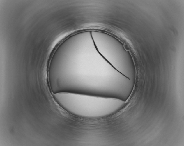 X0000113161328200909040945