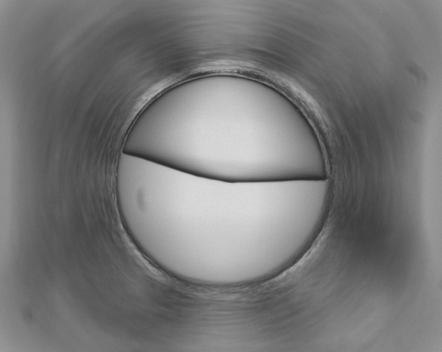 X0000113161329200909040945