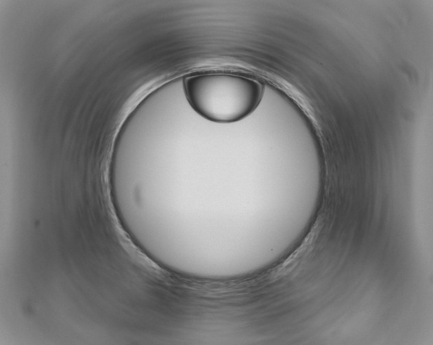X0000113161330200909040945