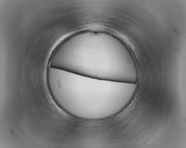 X0000113161331200909040945