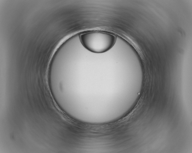 X0000113161332200909040945