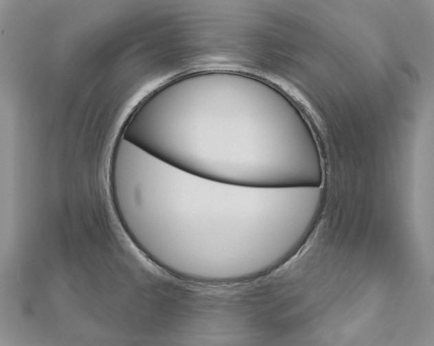 X0000113161333200909040945