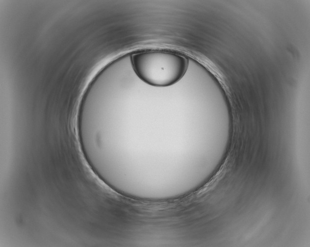 X0000113161334200909040945
