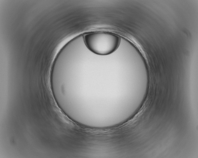 X0000113161336200909040945