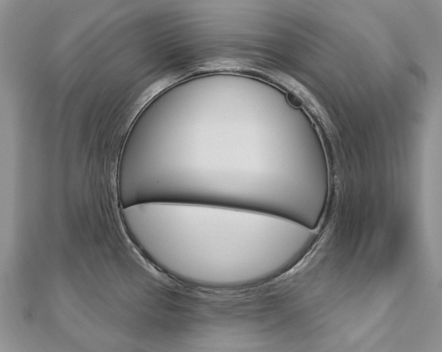 X0000113161337200909040945