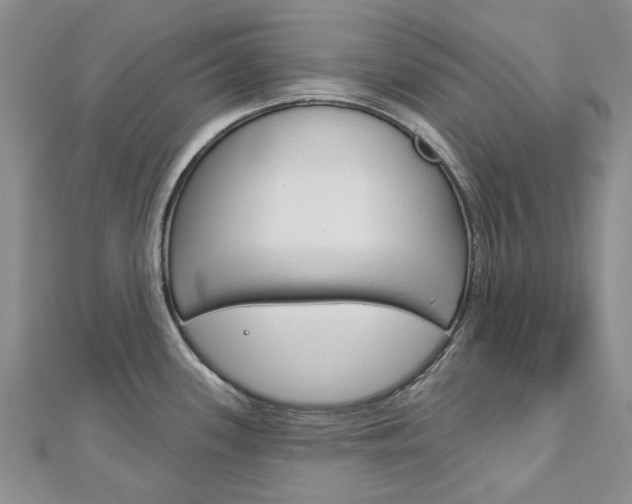 X0000113161339200909040945