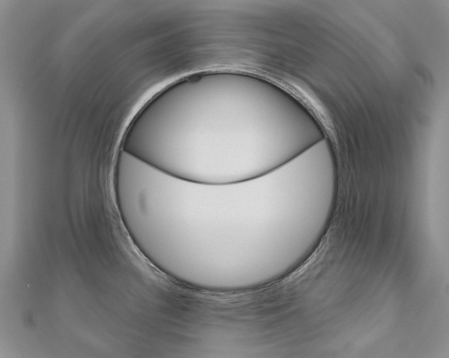 X0000113161340200909040945