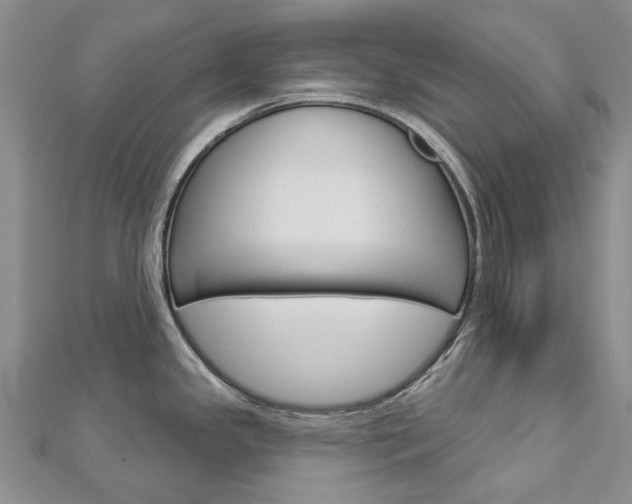 X0000113161341200909040945