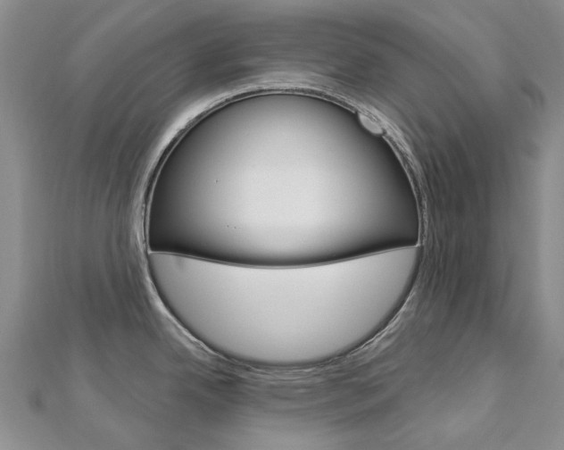 X0000113161342200909040945