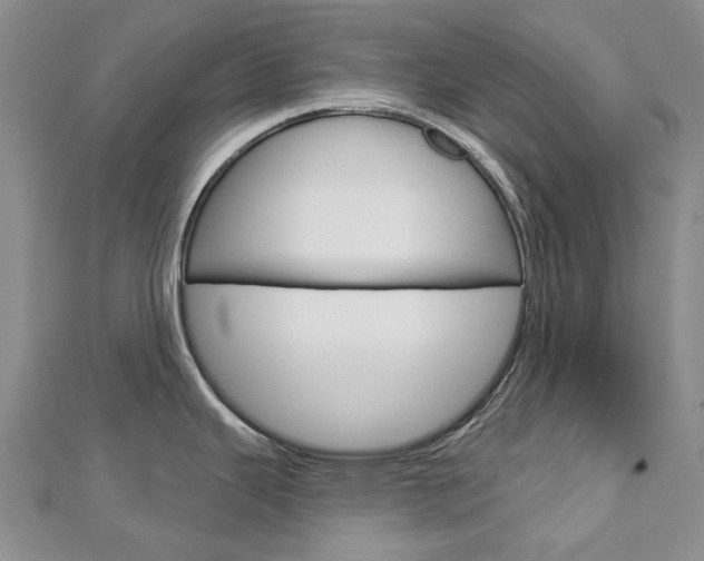 X0000113161343200909040945
