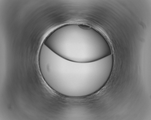 X0000113161344200909040945