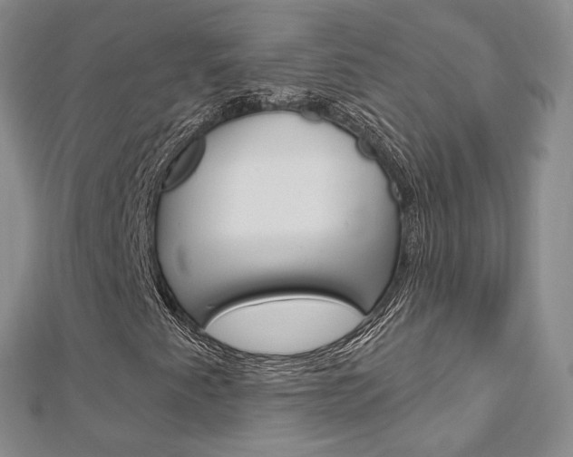 X0000113161345200909040944