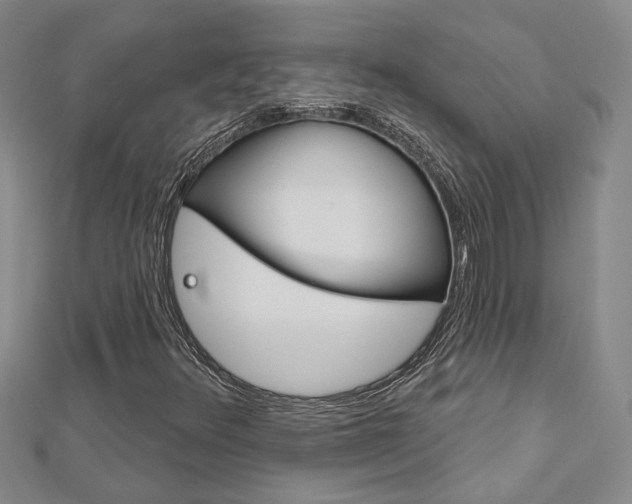 X0000113161348200909040944
