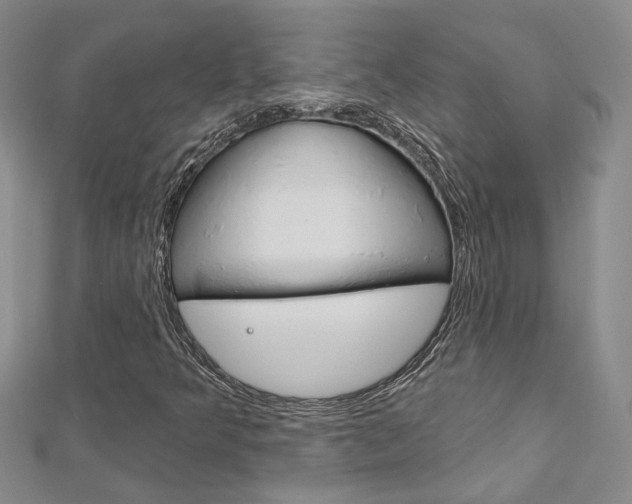 X0000113161349200909040944