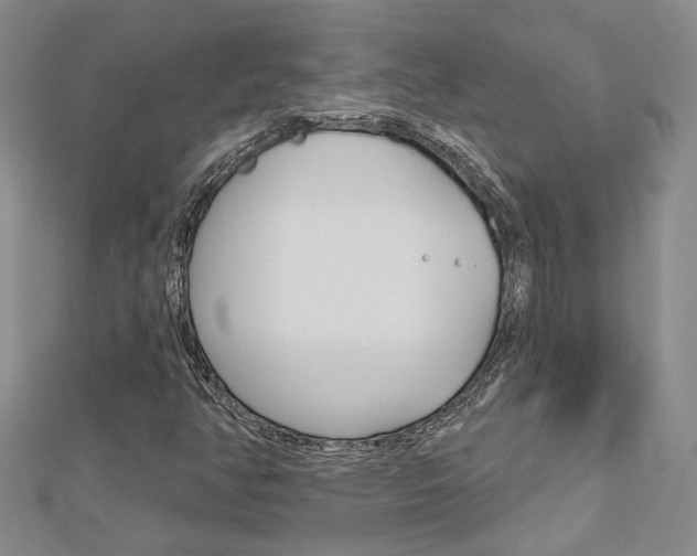 X0000113161350200909040944