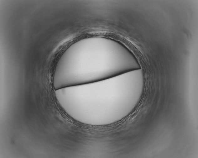 X0000113161351200909040944