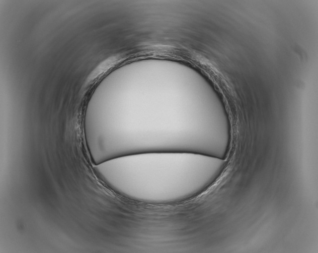 X0000113161354200909040944