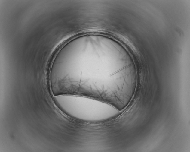 X0000113161356200909040944