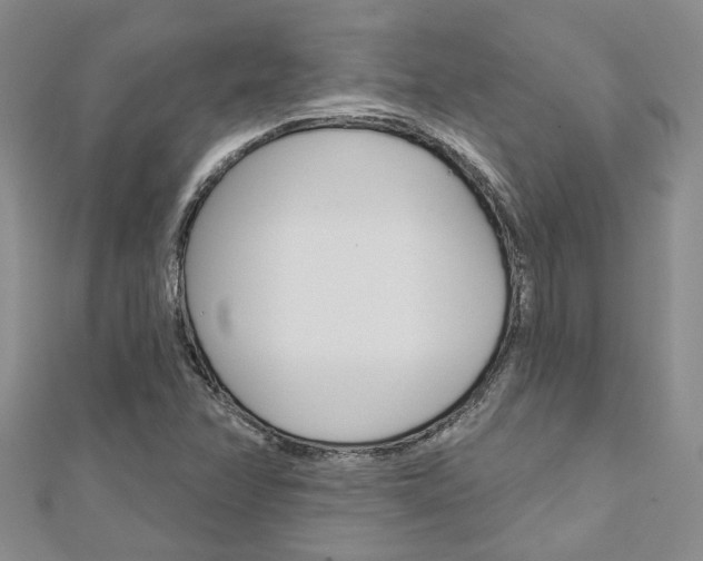 X0000113161358200909040944