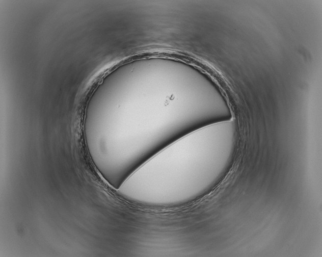 X0000113161359200909040944