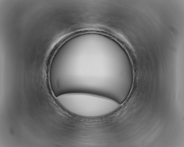X0000113161360200909040944