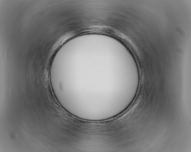 X0000113161362200909040944