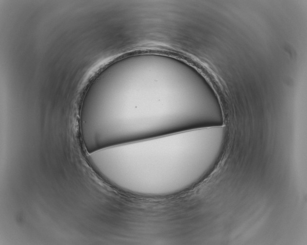 X0000113161363200909040944