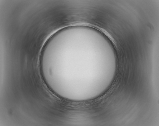 X0000113161364200909040944