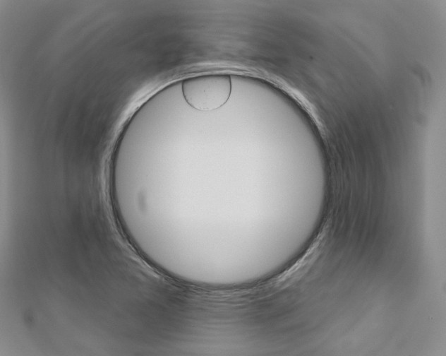 X0000113161365200909040944