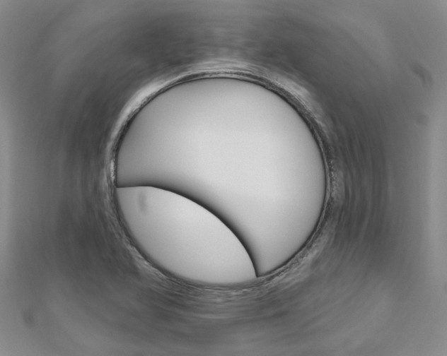 X0000113161366200909040944