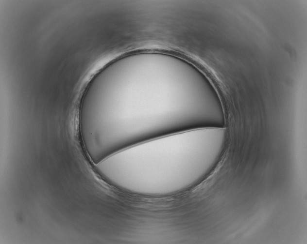 X0000113161367200909040944