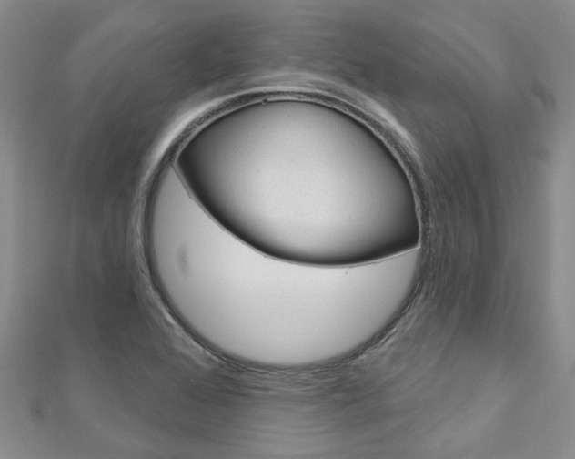 X0000113161368200909040944