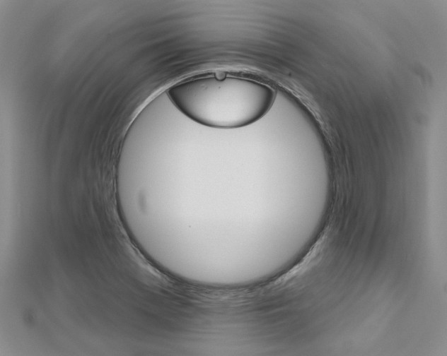 X0000113161369200909040944