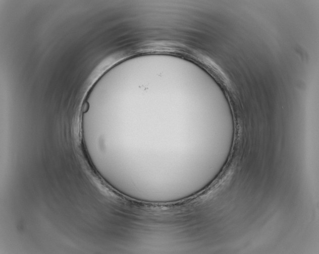 X0000113161370200909040944