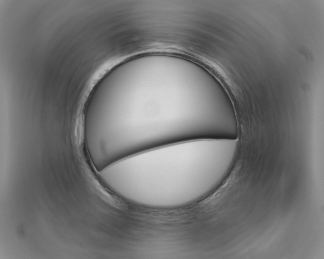 X0000113161371200909040944