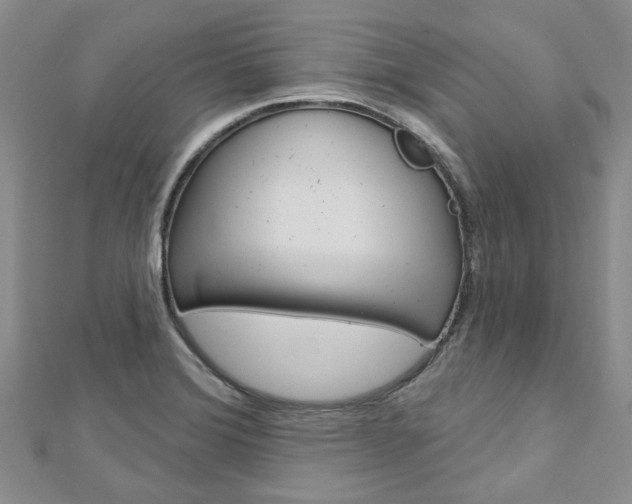 X0000113161372200909040944