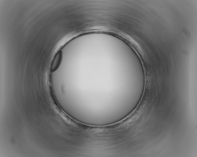 X0000113161373200909040944