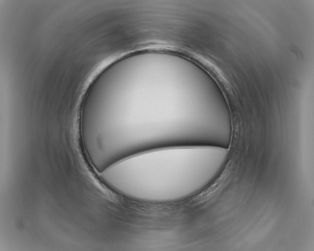 X0000113161375200909040944