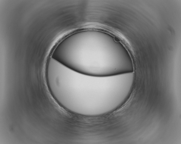 X0000113161376200909040944