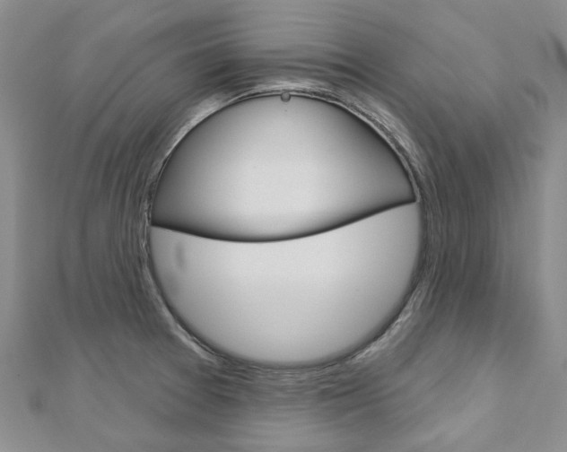 X0000113161377200909040944