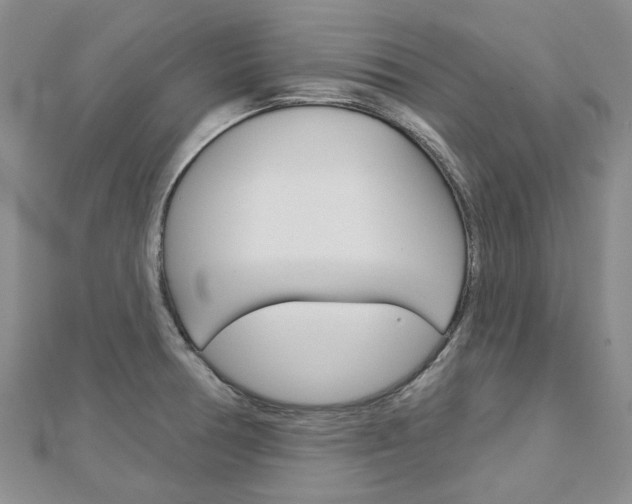 X0000113161378200909040944